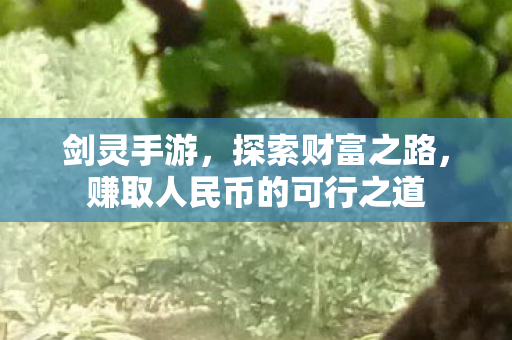 赚取人民币的可行之道图片