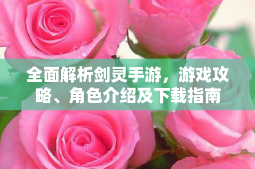 角色介绍及下载指南图片