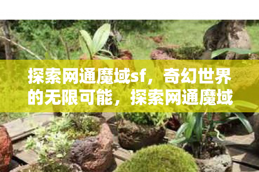 奇幻世界的无限可能图片