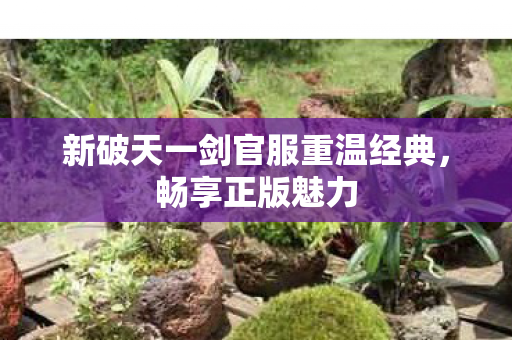 新破天一剑官服重温经典图片
