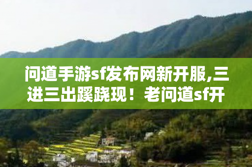 问道手游sf发布网新开服图片