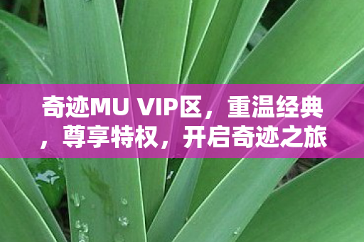 奇迹MU VIP区图片