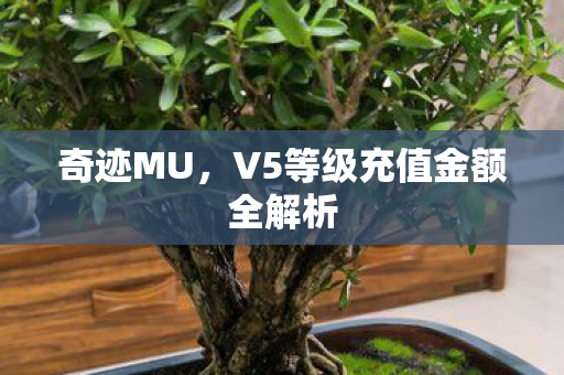 V5等级充值金额全解析图片