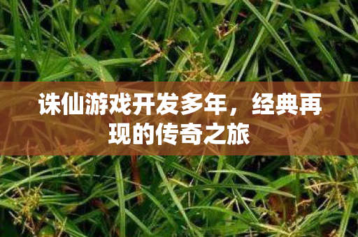 经典再现的传奇之旅图片
