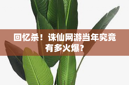 诛仙网游当年究竟有多火爆图片