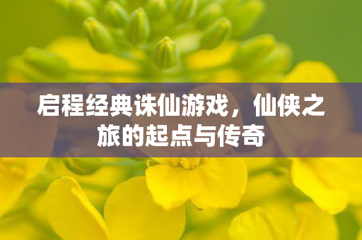 仙侠之旅的起点与传奇图片