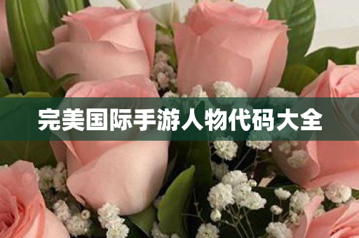 完美国际手游人物代码大全图片