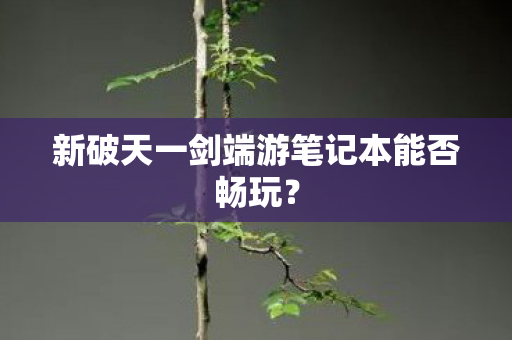 新破天一剑端游笔记本能否畅玩图片