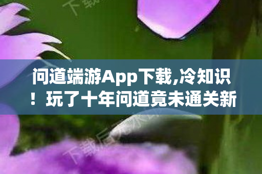 玩了十年问道竟未通关新手村图片
