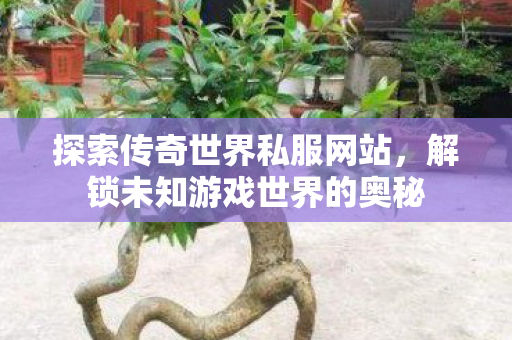 解锁未知游戏世界的奥秘图片