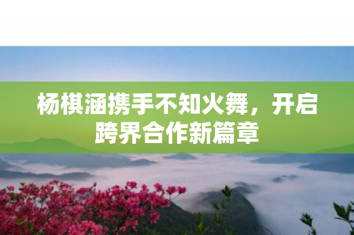 杨棋涵携手不知火舞图片