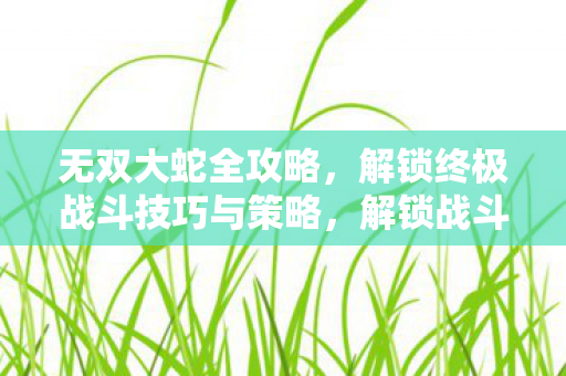 无双大蛇全攻略,解锁终极战斗技巧与策略,解锁战斗巅峰,无双大蛇全攻略及终极战斗技巧与策略 无双大蛇全攻略,解锁终极战斗技巧与策略,解锁战斗巅峰,无双大蛇全攻略及终极战斗技巧与策略