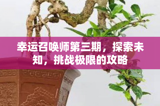 幸运召唤师第三期图片