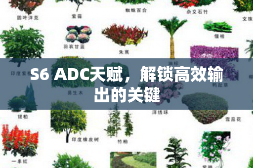 解锁高效输出的关键图片