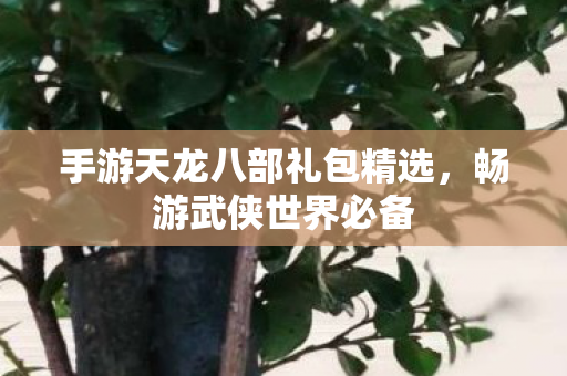 手游天龙八部礼包精选图片