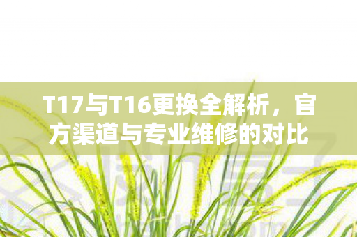 T17与T16更换全解析图片