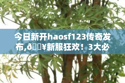 今日新开haosf123传奇发布,🔥新服狂欢!3大必玩理由让我通宵爆肝,这传奇爽到上头! 今日新开haosf123传奇发布,🔥新服狂欢!3大必玩理由让我通宵爆肝,这传奇爽到上头!