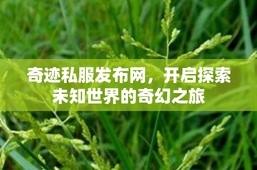 开启探索未知世界的奇幻之旅图片