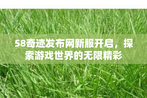 58奇迹发布网新服开启图片