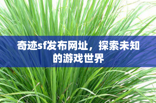 探索未知的游戏世界图片