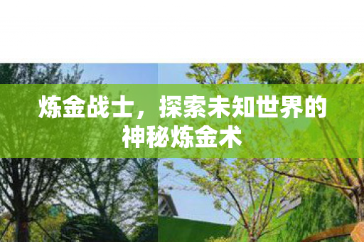 探索未知世界的神秘炼金术图片