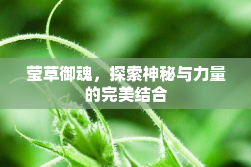 探索神秘与力量的完美结合图片