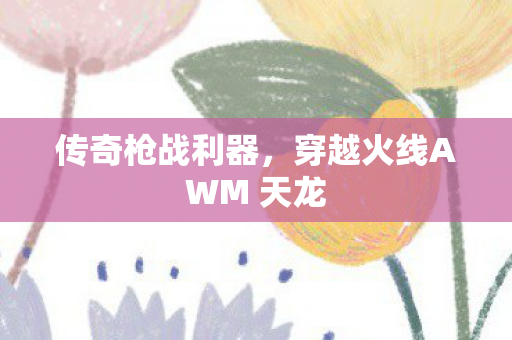穿越火线AWM 天龙图片