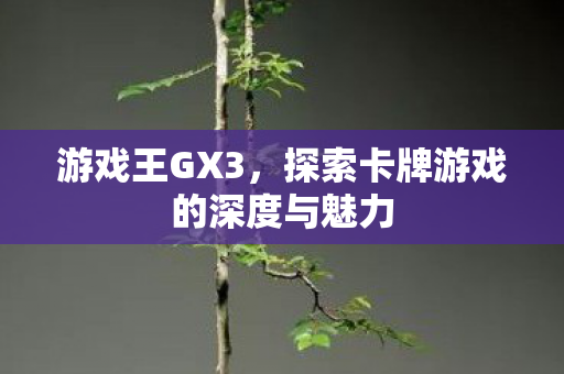 探索卡牌游戏的深度与魅力图片