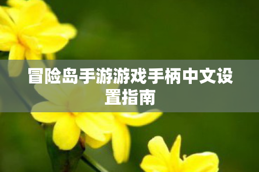 冒险岛手游游戏手柄中文设置指南图片