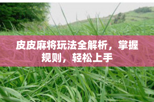 皮皮麻将玩法全解析图片