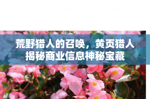 黄页猎人揭秘商业信息神秘宝藏图片