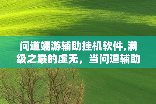 当问道辅助挂成人生逃亡的悖论级枷锁图片