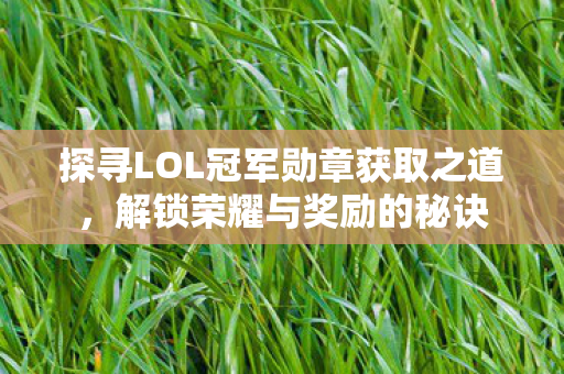 探寻LOL冠军勋章获取之道图片