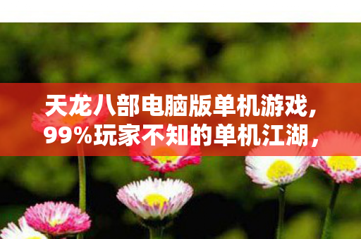天龙八部电脑版单机游戏,99%玩家不知的单机江湖，狂喜入局，为何最后只剩心碎离场？