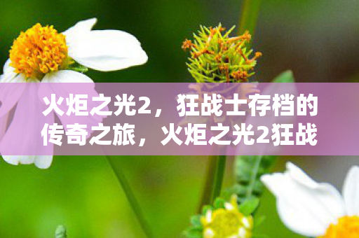 火炬之光2，狂战士存档的传奇之旅，火炬之光2狂战士传奇存档之旅