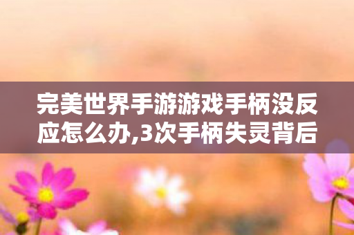 完美世界手游游戏手柄没反应怎么办,3次手柄失灵背后,完美世界手游藏着多少老玩家的未解之谜? 完美世界手游游戏手柄没反应怎么办,3次手柄失灵背后,完美世界手游藏着多少老玩家的未解之谜?