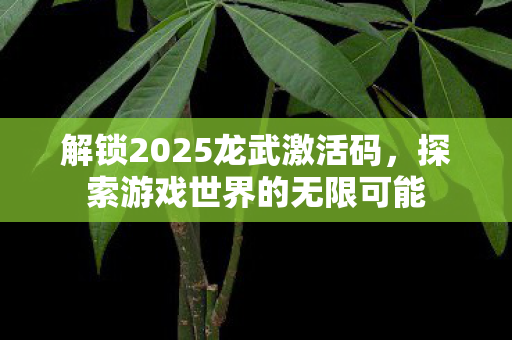 解锁2025龙武激活码图片