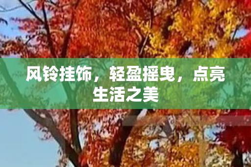 点亮生活之美图片