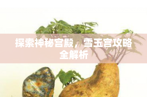 雪玉宫攻略全解析图片