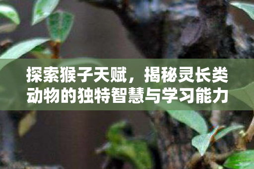 揭秘灵长类动物的独特智慧与学习能力图片