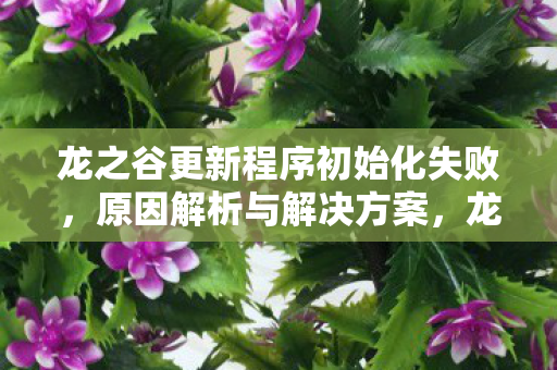 龙之谷更新程序初始化失败图片