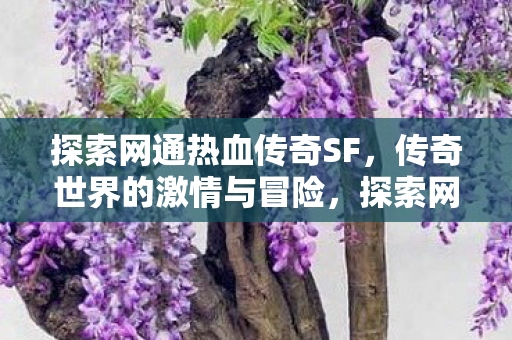 传奇世界的激情与冒险之旅图片