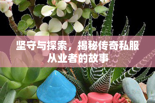 揭秘传奇私服从业者的故事图片