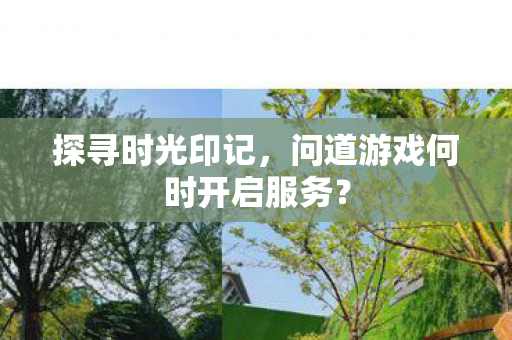 问道游戏何时开启服务图片