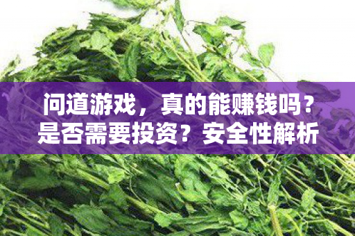 真的能赚钱吗图片