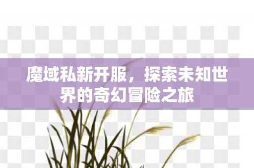 探索未知世界的奇幻冒险之旅图片