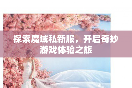 开启奇妙游戏体验之旅图片