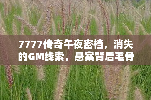 7777传奇午夜密档,消失的GM线索,悬案背后毛骨悚然的十年囚徒 7777传奇午夜密档,消失的GM线索,悬案背后毛骨悚然的十年囚徒