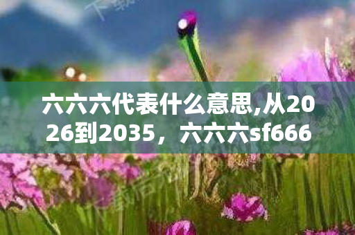六六六代表什么意思,从2026到2035,六六六sf666十年沉浮,揭秘游戏终极真相! 六六六代表什么意思,从2026到2035,六六六sf666十年沉浮,揭秘游戏终极真相!