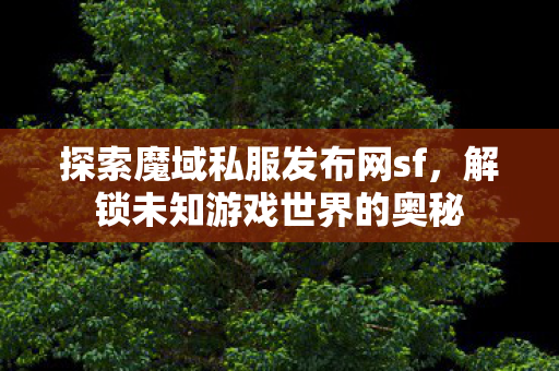 探索魔域私服发布网sf图片